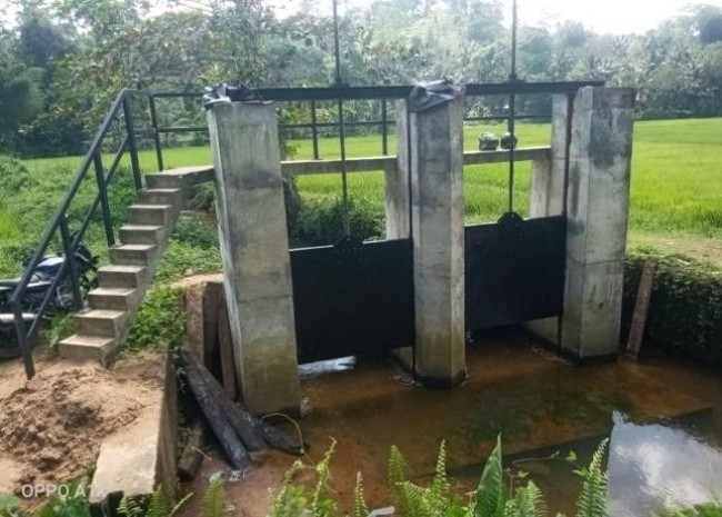 Rehabilitation of Ambekubura Anicut