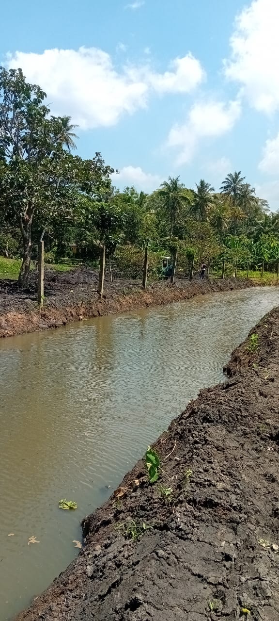 Improvement of Raja Ela 